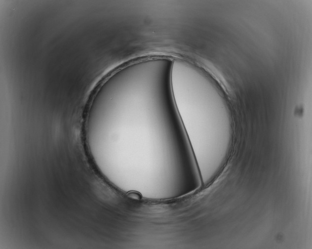 X0000103231260200808280941