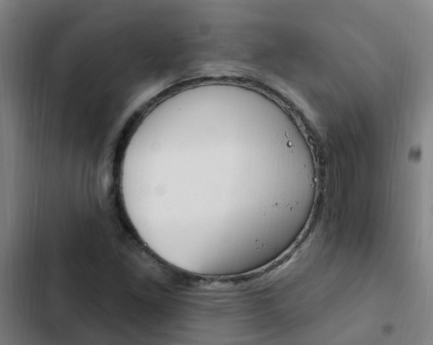 X0000103231261200808280941