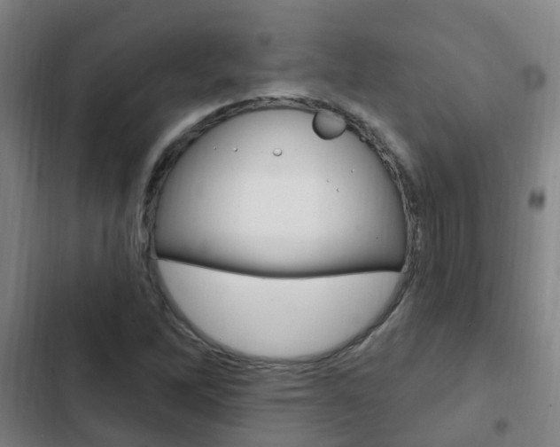 X0000103231262200808280941