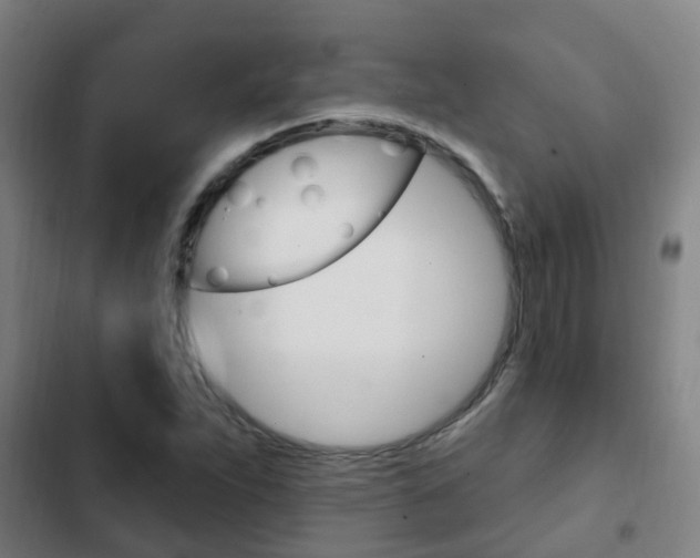 X0000103231263200808280941