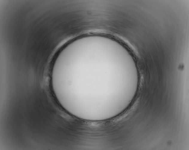 X0000103231266200808280941