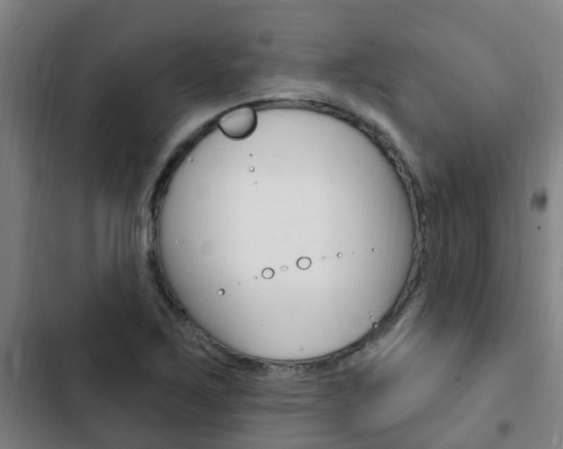 X0000103231267200808280941