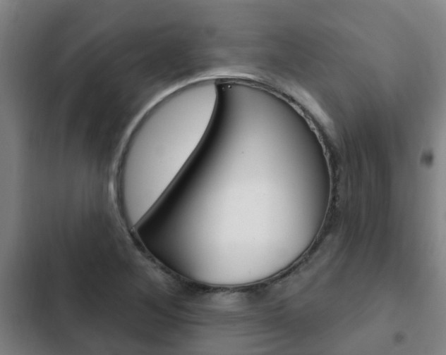 X0000103231268200808280941