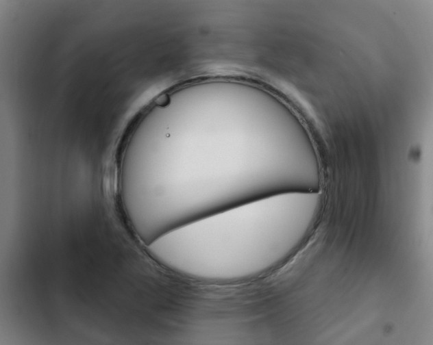 X0000103231269200808280941