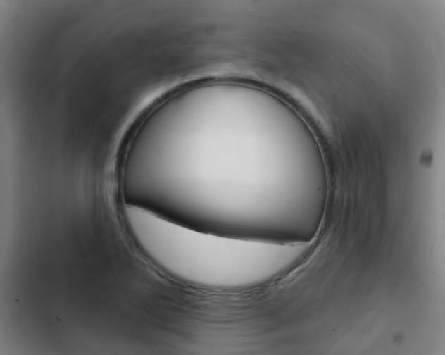 X0000103231270200808280941