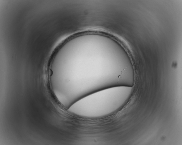 X0000103231271200808280941