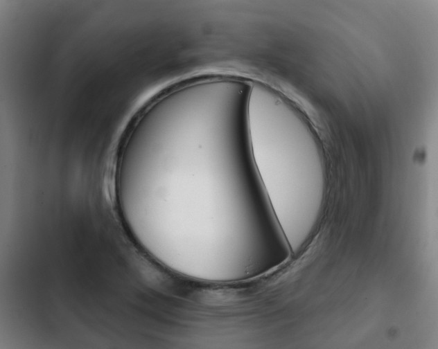 X0000103231272200808280941