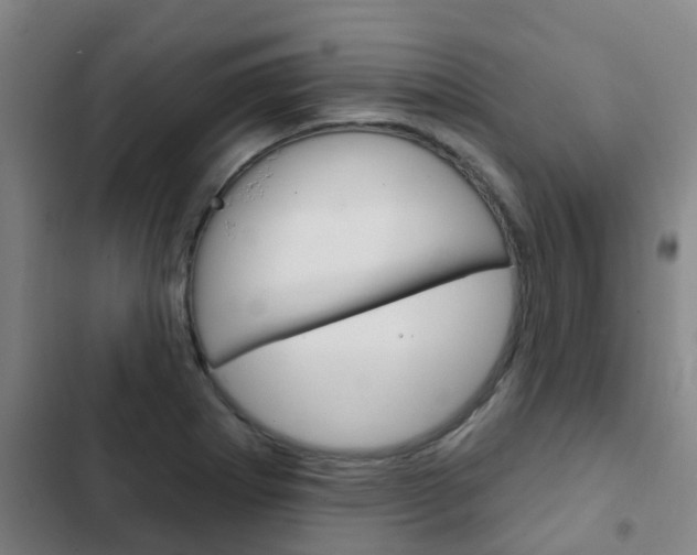 X0000103231273200808280941