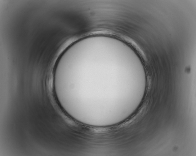 X0000103231274200808280941