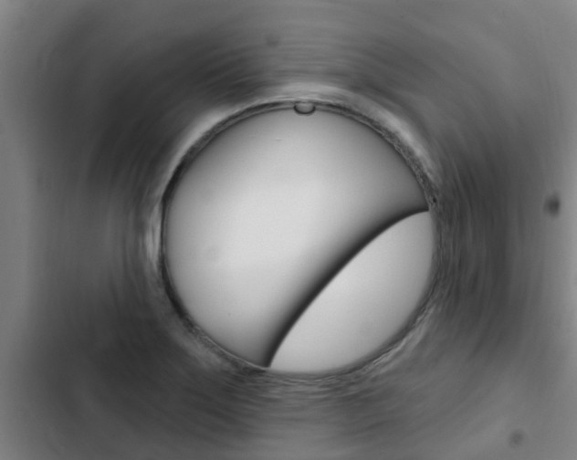 X0000103231275200808280941