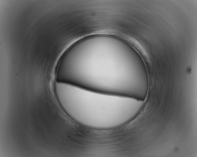 X0000103231276200808280941