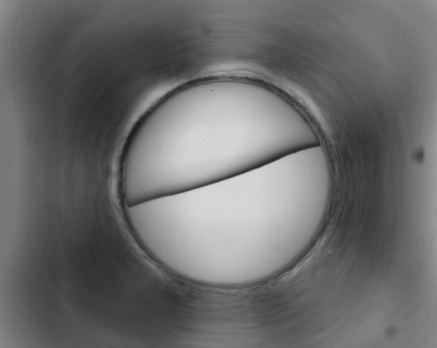 X0000103231277200808280941