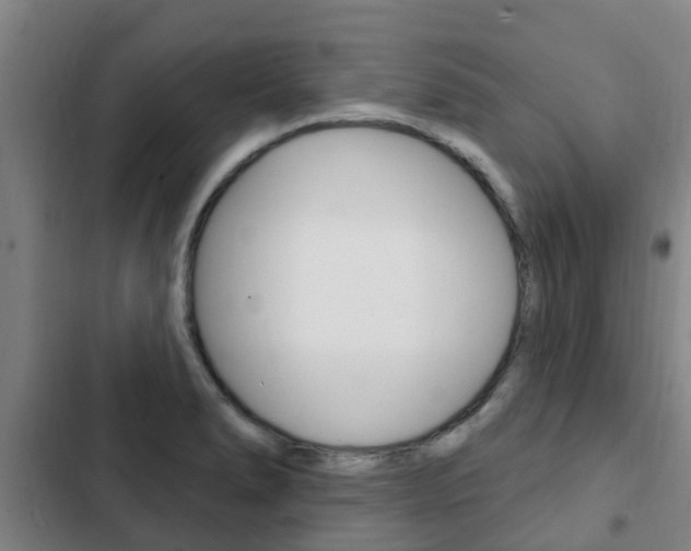 X0000103231278200808280941