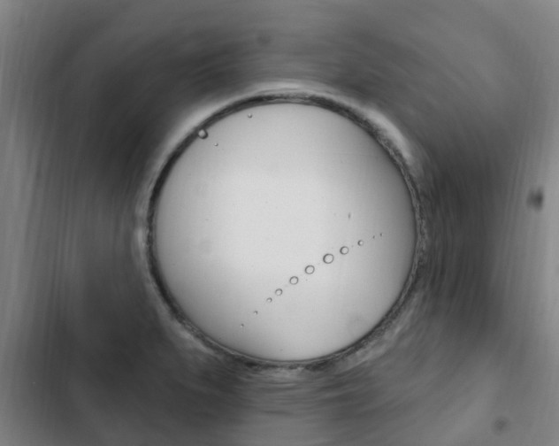 X0000103231279200808280941