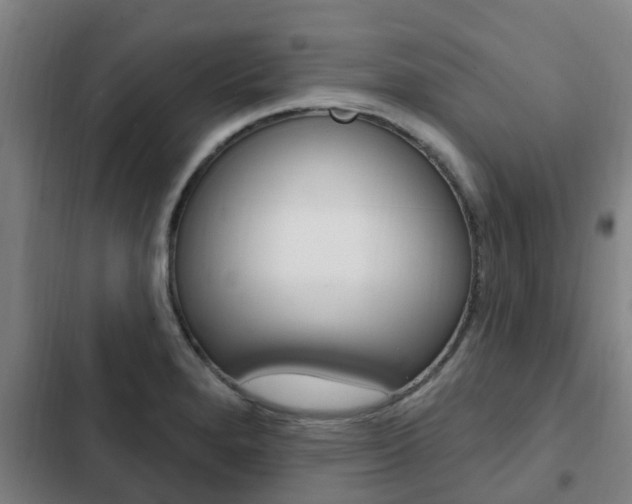 X0000103231280200808280941