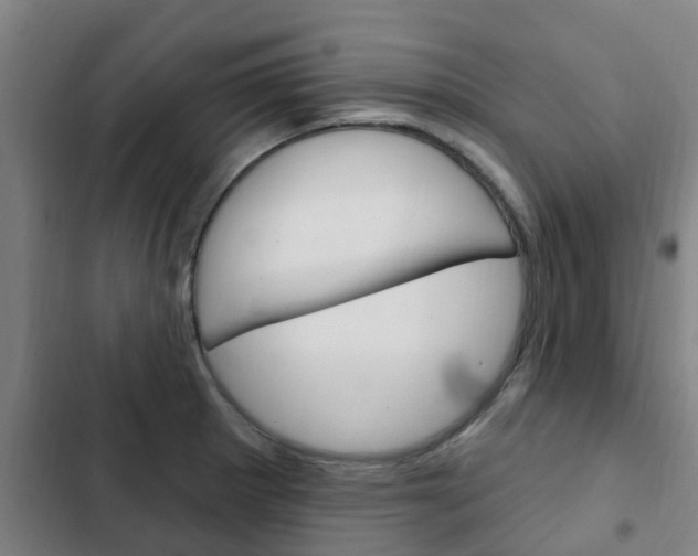 X0000103231281200808280941