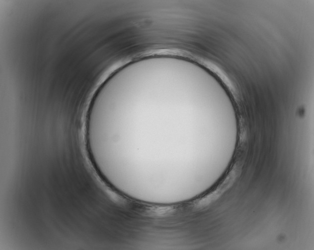 X0000103231282200808280941