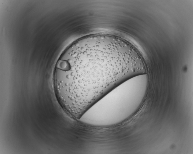 X0000103231283200808280941