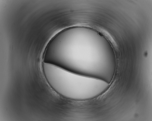 X0000103231284200808280941