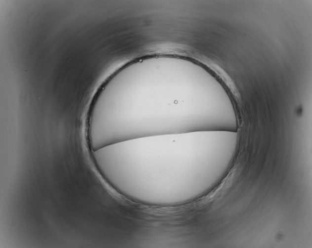 X0000103231285200808280941