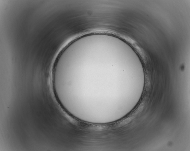 X0000103231286200808280941