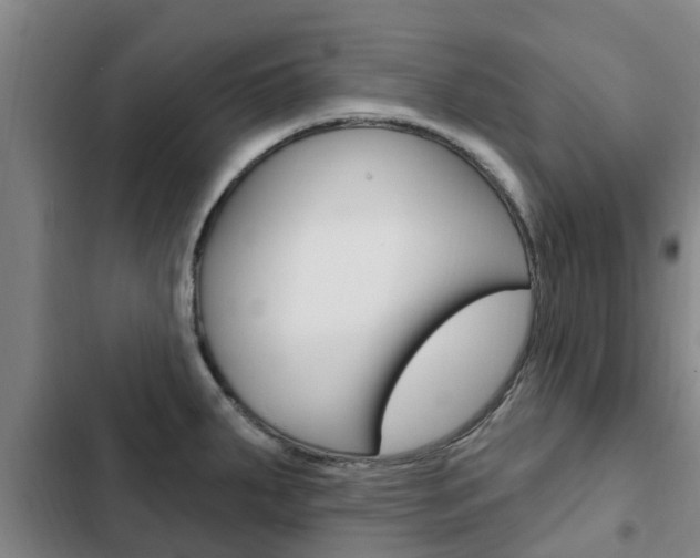 X0000103231287200808280941