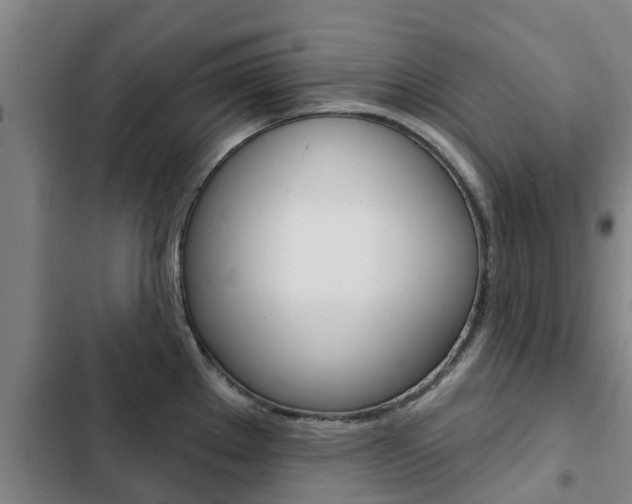 X0000103231289200808280941