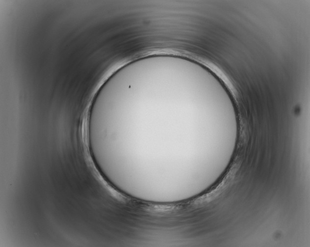 X0000103231290200808280941