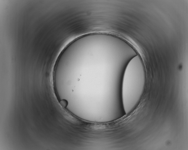 X0000103231291200808280941