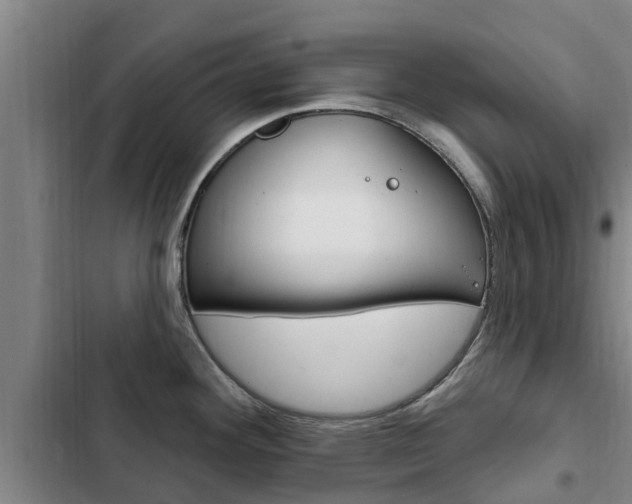 X0000103231292200808280941