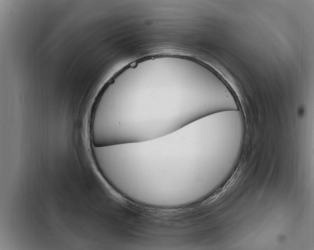 X0000103231293200808280941