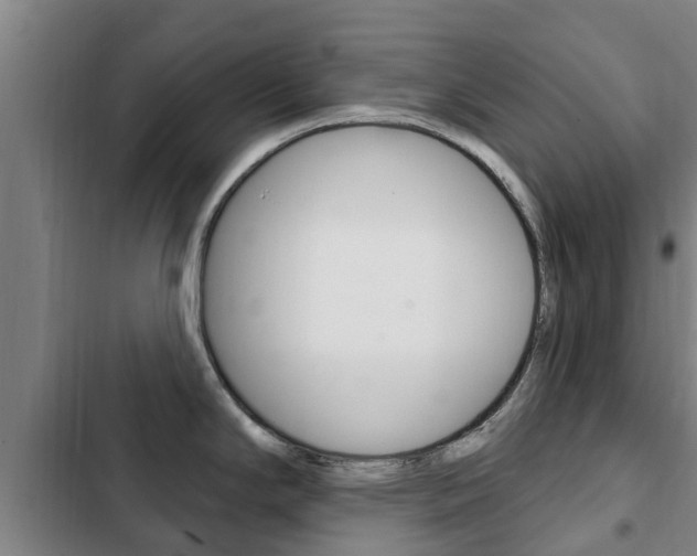 X0000103231294200808280941
