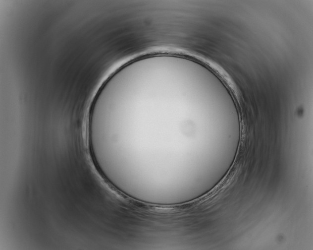 X0000103231295200808280941