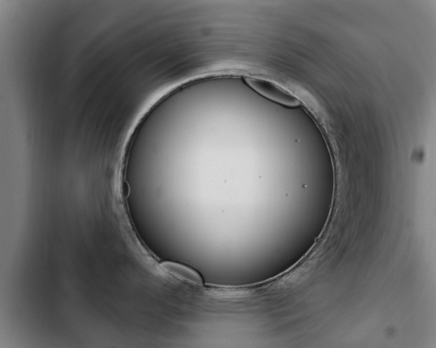 X0000103231296200808280941