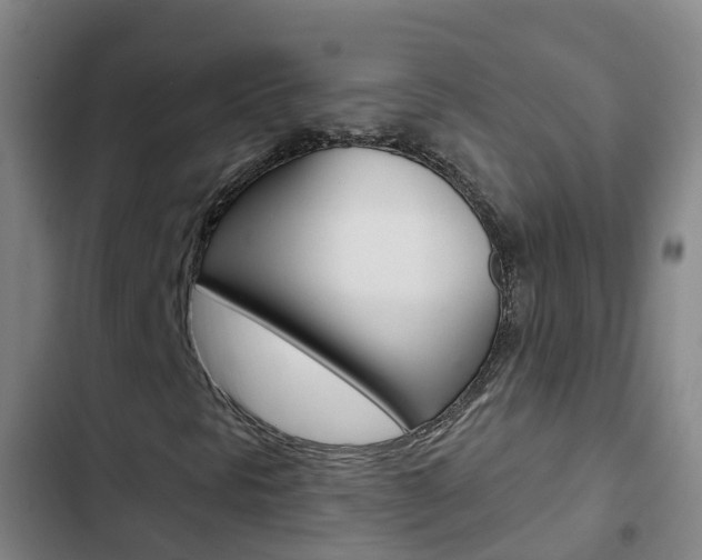 X0000103231297200808280940
