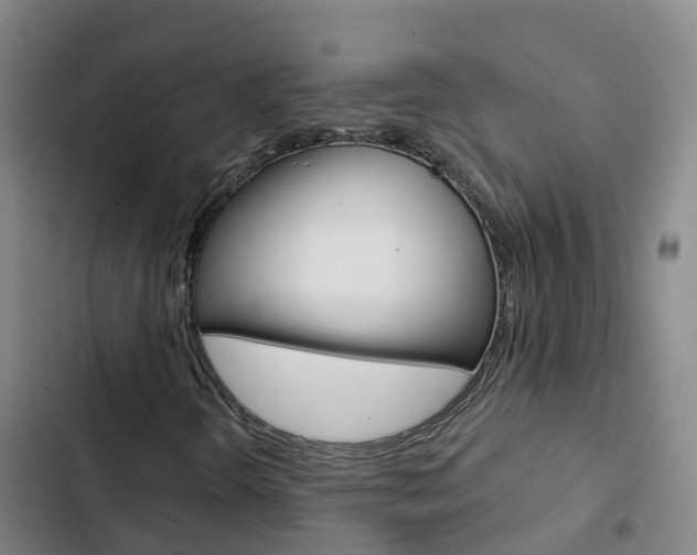 X0000103231298200808280940