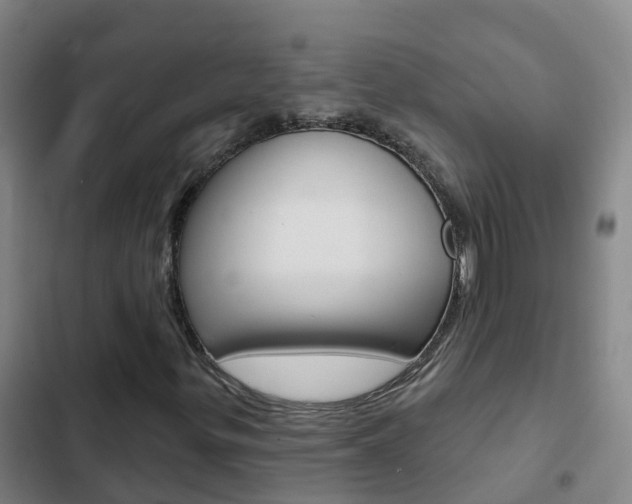 X0000103231299200808280940