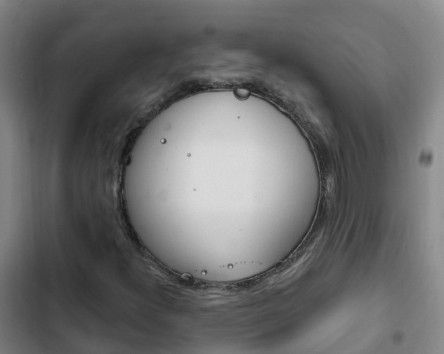 X0000103231300200808280940