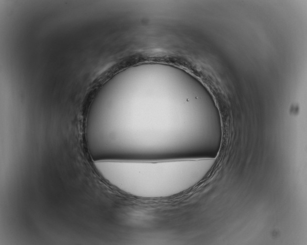 X0000103231301200808280940