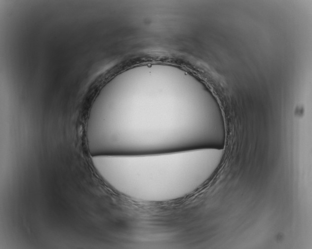 X0000103231302200808280940