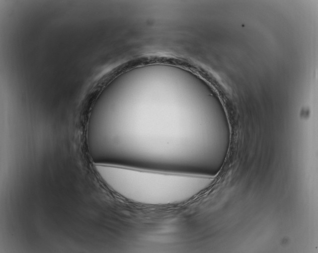 X0000103231303200808280940