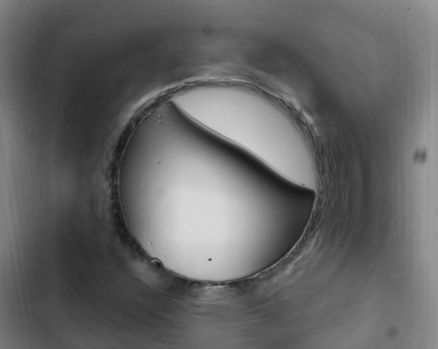 X0000103231304200808280940