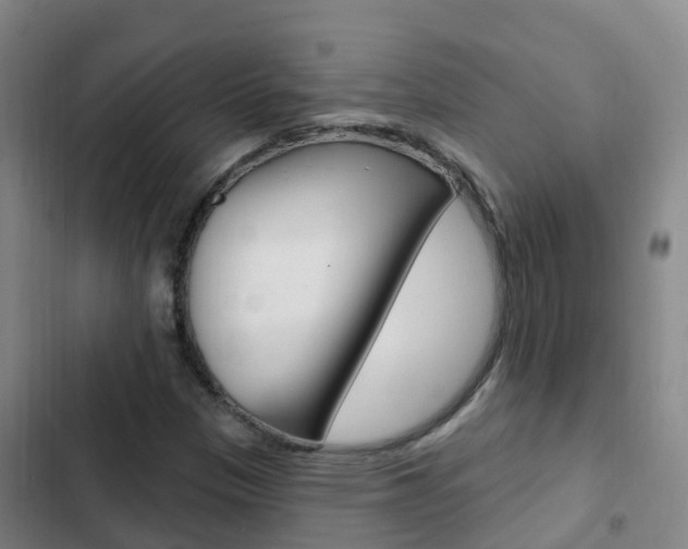 X0000103231305200808280940