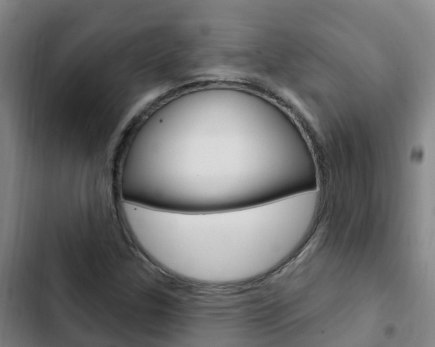 X0000103231307200808280940