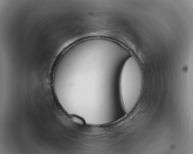X0000103231308200808280940