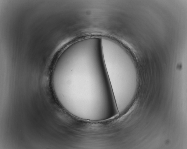 X0000103231309200808280940