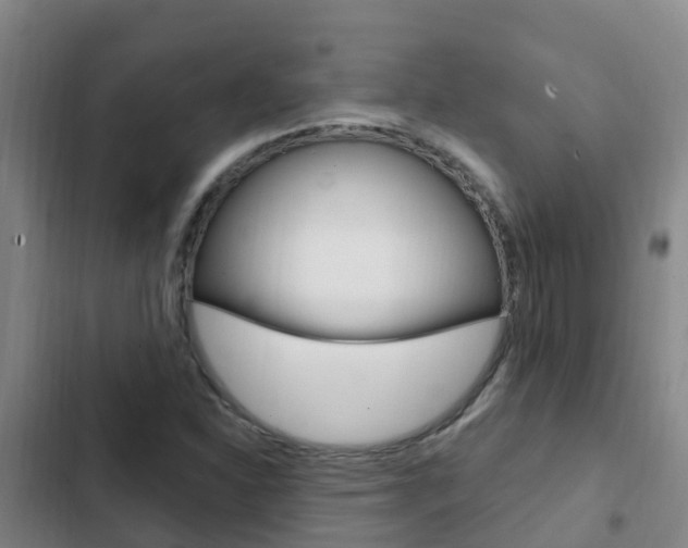 X0000103231310200808280940