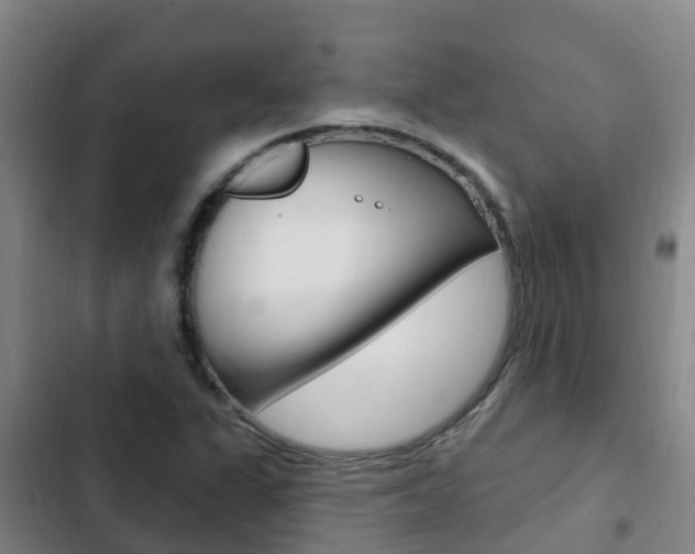 X0000103231311200808280940
