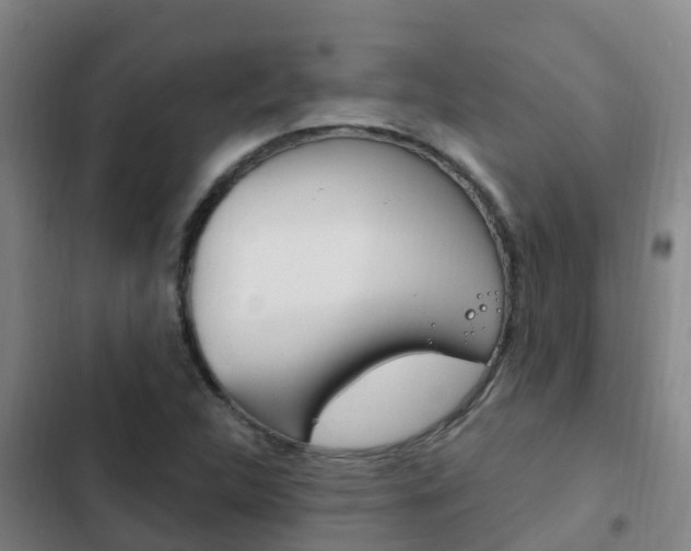X0000103231312200808280940