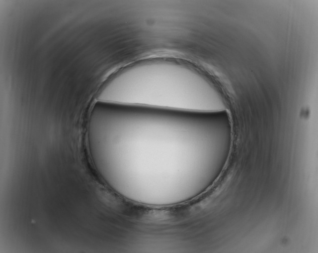 X0000103231313200808280940